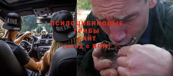 твердый Протвино