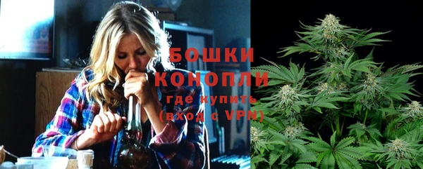 твердый Протвино