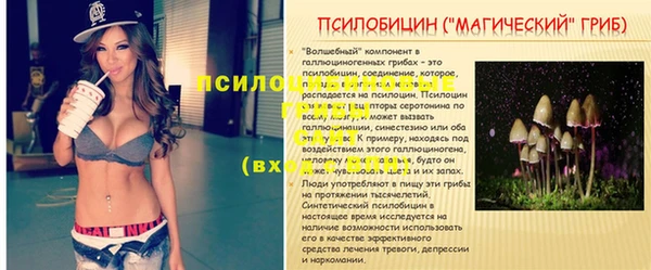 прущая мука Пролетарск