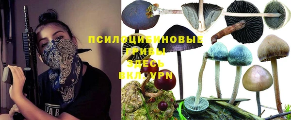 прущая мука Пролетарск